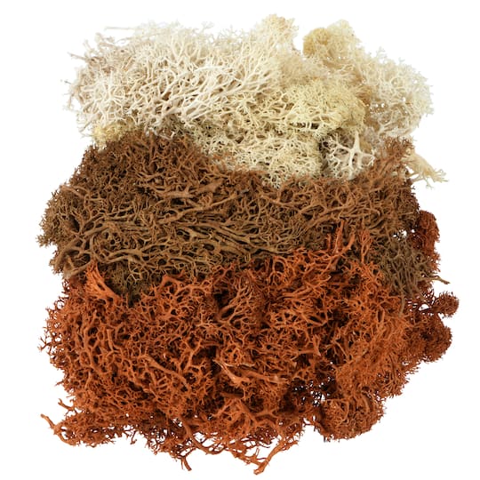 Michaels, 1.7oz. Moss by Ashland – Category: Halloween DIY Floral Supplies
